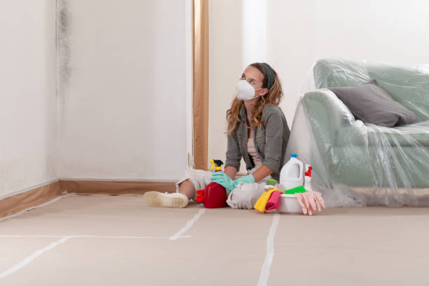 Reliable Commercial Mold Remediation contractor in Mount Arlington, NJ by WQB Mold Removal